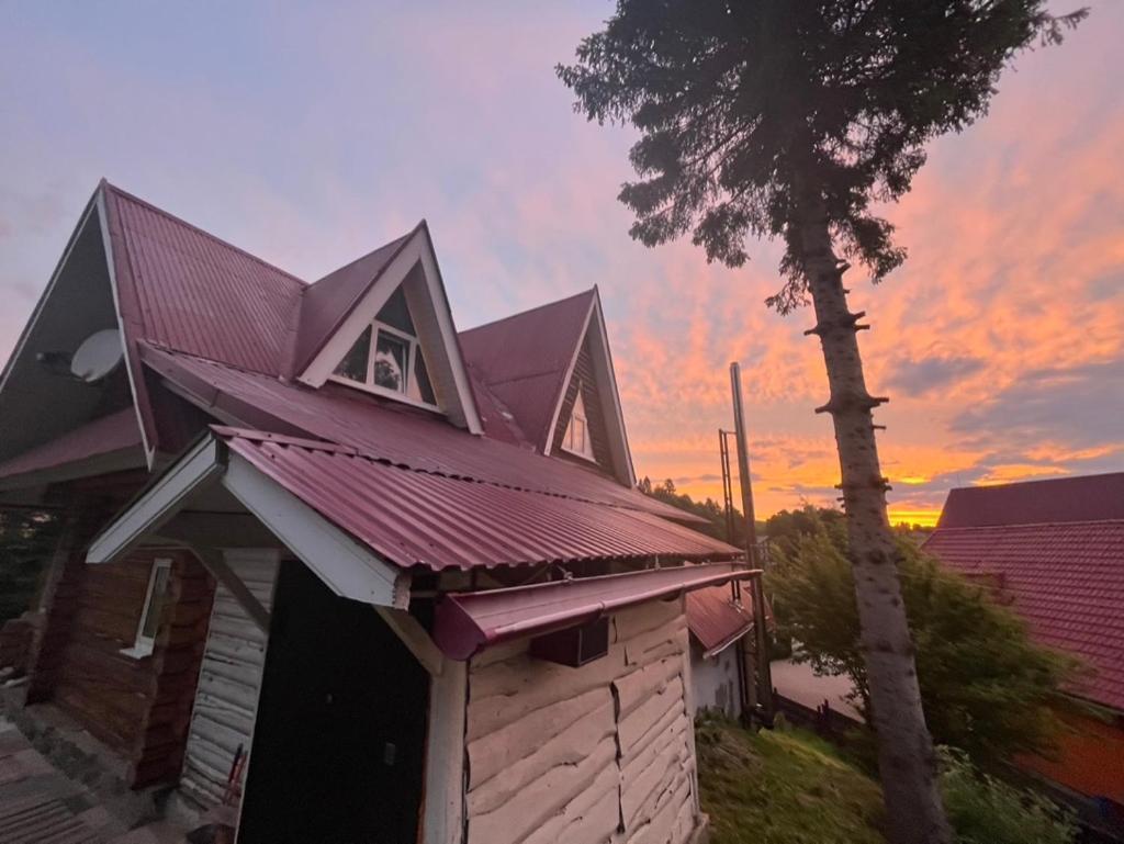 Hotel Piatkovskiy Pilipets エクステリア 写真