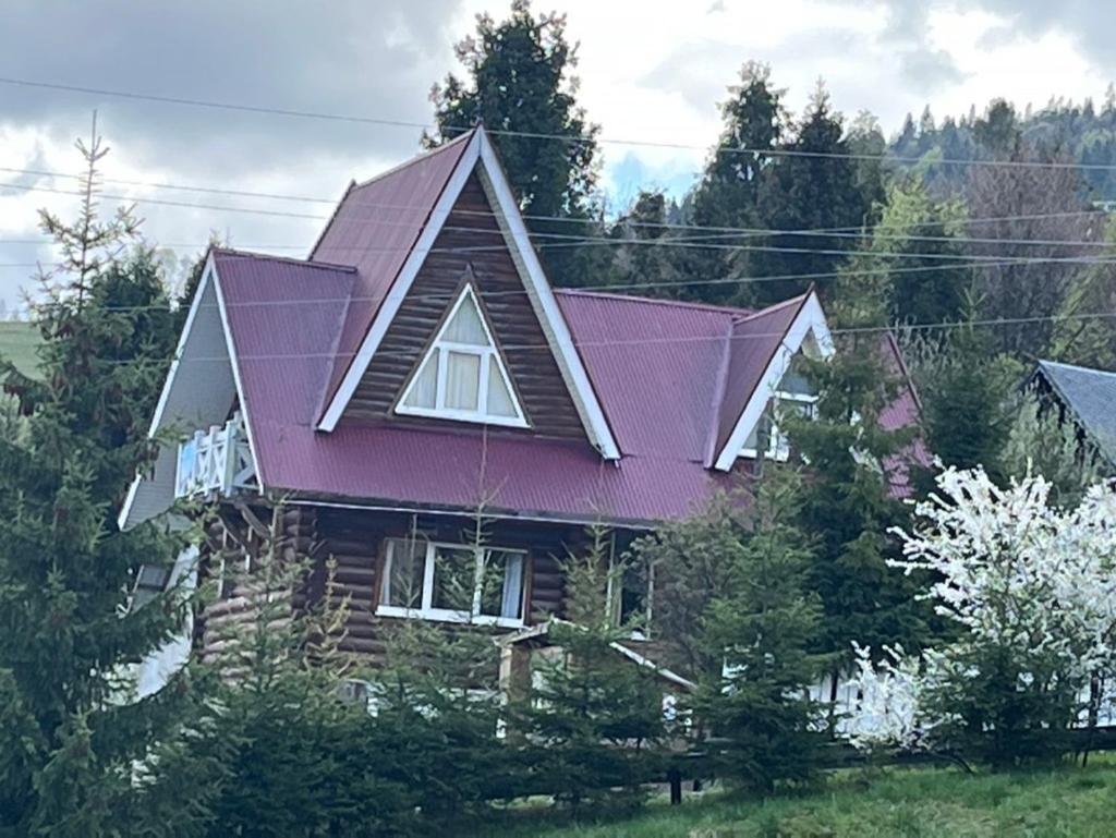 Hotel Piatkovskiy Pilipets エクステリア 写真